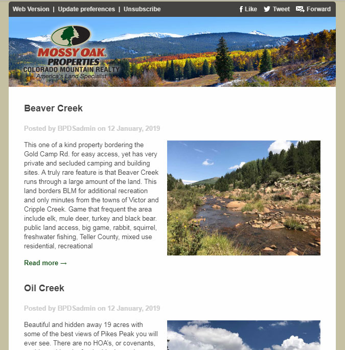 Mossy Oak Properties Colorado Mountain Realty Email Newsletter