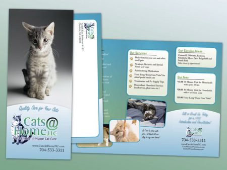 Cats@Home Trifold Brochure