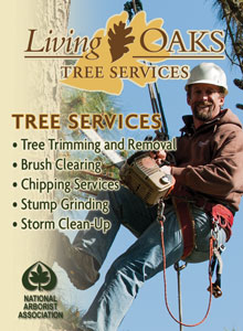 Living Oaks Landscaping Phone Book Ad