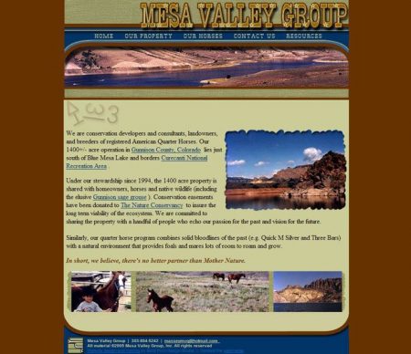 Mesa Valley Group Website