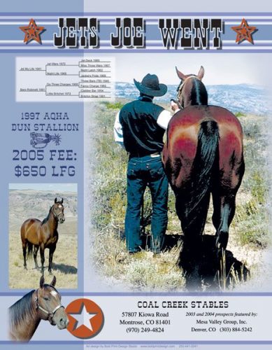 Mesa Valley Group “Joe Stallion” Ad